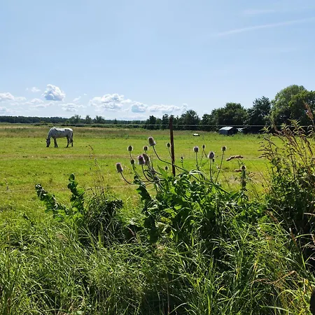 Dhh Meeresstern Ferienhaus *